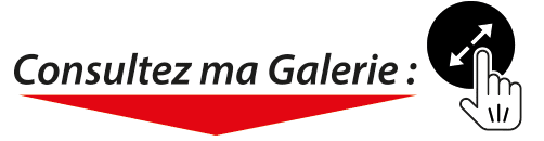 Consultez ma galerie de photos