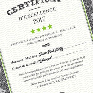 certificat de caricaturiste professionel